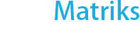 webmatriks logo